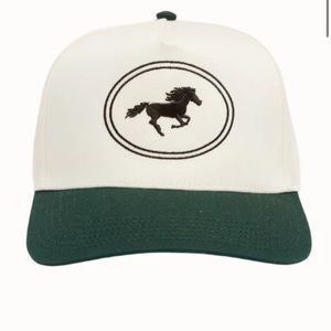 Dairy boy hat